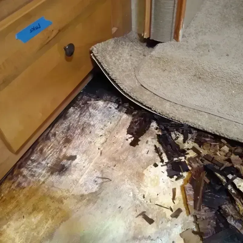 Wood Floor Water Damage in Santa Clara, CA